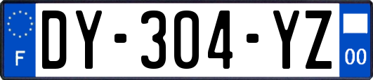 DY-304-YZ