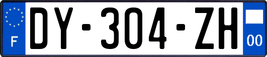 DY-304-ZH