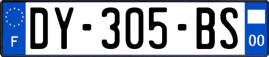 DY-305-BS