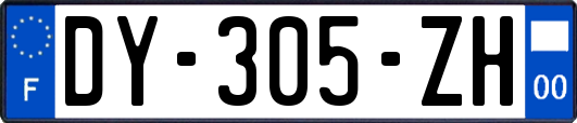 DY-305-ZH