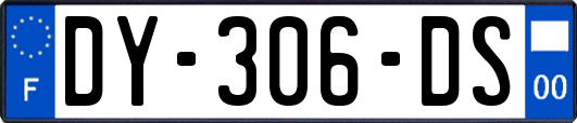 DY-306-DS