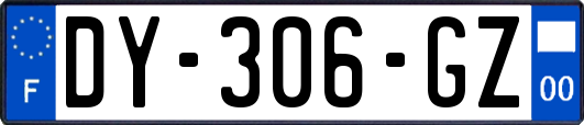 DY-306-GZ