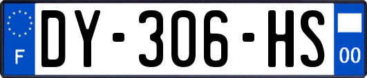 DY-306-HS