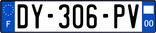 DY-306-PV