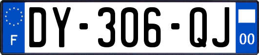 DY-306-QJ