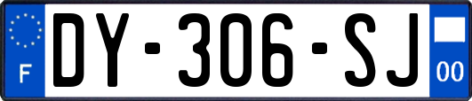 DY-306-SJ