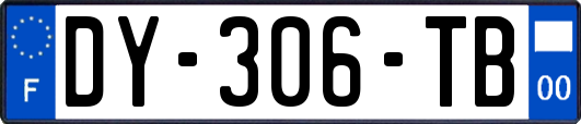 DY-306-TB