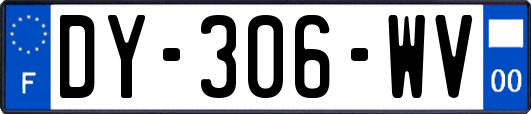 DY-306-WV