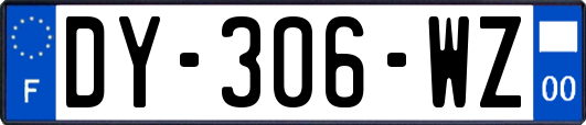 DY-306-WZ