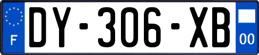 DY-306-XB