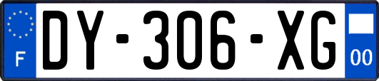 DY-306-XG