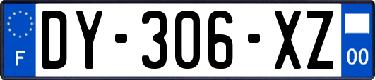 DY-306-XZ