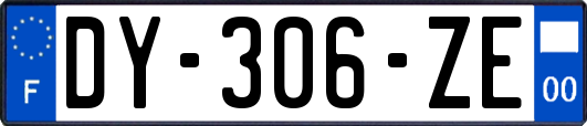 DY-306-ZE