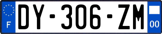 DY-306-ZM