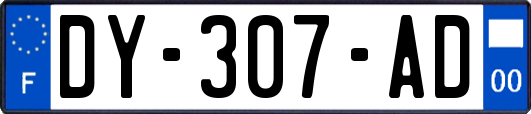 DY-307-AD