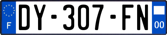 DY-307-FN