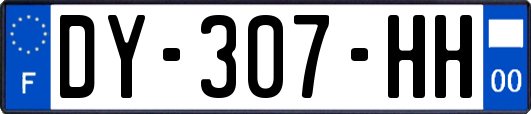 DY-307-HH