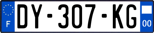 DY-307-KG