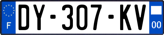 DY-307-KV