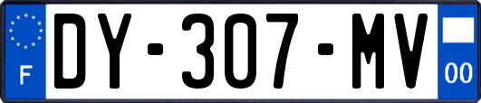 DY-307-MV