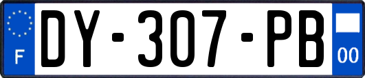 DY-307-PB