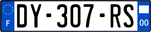 DY-307-RS