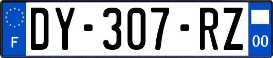 DY-307-RZ