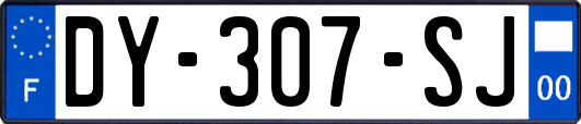 DY-307-SJ