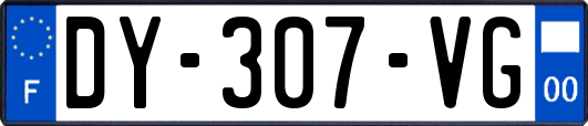 DY-307-VG