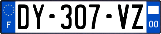 DY-307-VZ