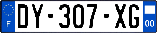 DY-307-XG