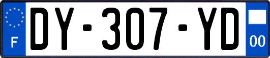 DY-307-YD