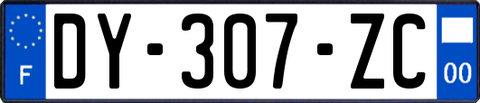 DY-307-ZC