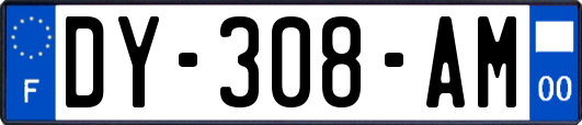 DY-308-AM