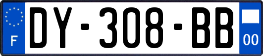 DY-308-BB