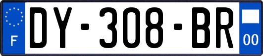 DY-308-BR