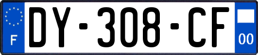 DY-308-CF
