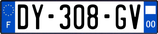 DY-308-GV