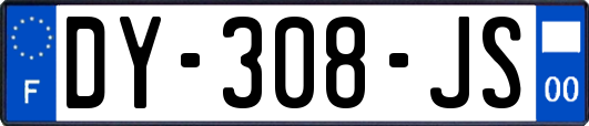 DY-308-JS