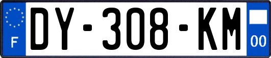 DY-308-KM