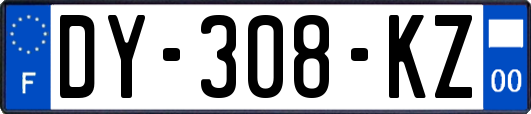 DY-308-KZ