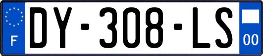 DY-308-LS