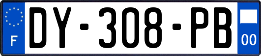 DY-308-PB