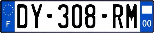 DY-308-RM