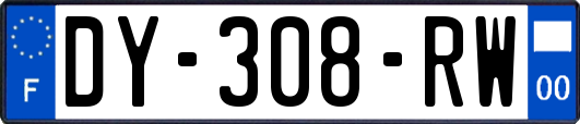 DY-308-RW