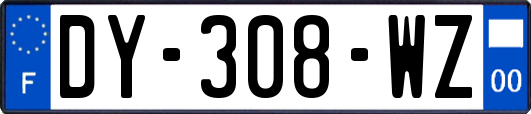 DY-308-WZ