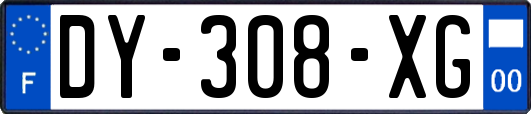 DY-308-XG