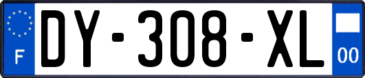 DY-308-XL