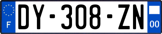 DY-308-ZN