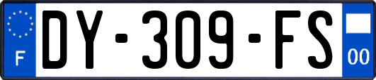 DY-309-FS